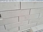 BCT Caramida GRI AGAT M200 pentru Fatade, Garduri, Gratare (250x120x65) (AGAT-M200)