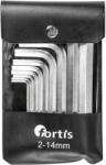 Fortis 4317784729987 Cheie imbus
