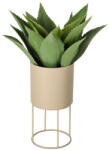 Tchibo - Kerek növénytartó - bézs