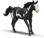 Schleich Paint Horse herélt figura (14900)
