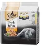 Sheba Fresh & Fine Mega pack Szárnyas válogatás szószban 15x50 g