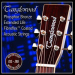 Tanglewood TWGS-12 foszfor-bronz 12-53 fém akusztikus gitárhúr