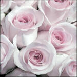 Ambiente Abby Vintage Papírszalvéta 33X33cm, 20db-os