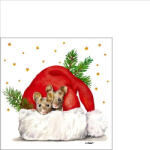 PPD get Cozy Papírszalvéta 25X25cm, 20db-os - fizz