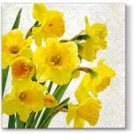 PAW Yellow Daffodils Papírszalvéta 33X33cm, 20db-os - fizz