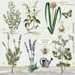 Ambiente Herbs garden Papírszalvéta 33X33cm, 20db-os - fizz