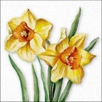 Ambiente Flowering Daffodils Papírszalvéta 33X33cm, 20db-os - fizz