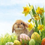 Ambiente Fluffy Papírszalvéta 33X33cm, 20db-os