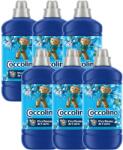Coccolino Passion Flower & Bergamot Öblítő koncentrátum 306 mosás 6x1275ml
