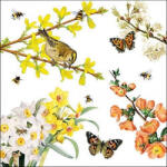 Ambiente Spring Awakening Papírszalvéta 33X33cm, 20db-os