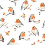 Ambiente Robin Family Papírszalvéta 33X33cm, 20db-os