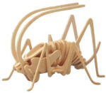 Wooden Toy / Wck JUCĂRIE DIN LEMN, puzzle 3D WCK Greier