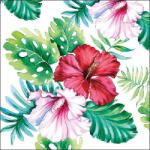 Ambiente Hibiscus Floral White Papírszalvéta 33X33cm, 20db-os
