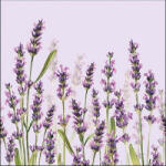 Ambiente Lavender Shade Lila Papírszalvéta 33X33cm, 20db-os