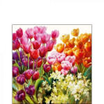 Ambiente Tulips Papírszalvéta 25X25cm, 20db-os - fizz