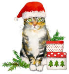 PPD Christmas Kitty Papírszalvéta 33X33cm, 20db-os