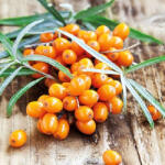 Ambiente Hippohae Papírszalvéta 33X33cm, 20db-os - fizz