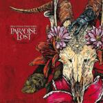 Paradise Lost - Draconian Times (Limited Edition) (Silver Coloured) (2 LP) (0617669419588)