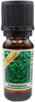 Főnix illatolaj 10ml - Eukaliptusz