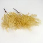  Szárazvirág hatású aszparágusz csokor natúr 2db/csomag