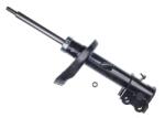 Denckermann amortizor DENCKERMANN DSB605G (DSB605G)