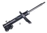Denckermann amortizor DENCKERMANN DSB606G (DSB606G)