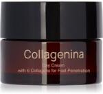 Collagenina Grade 3 Day Cream feszesítő nappali krém kollagénnel 50 ml