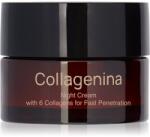 Collagenina Grade 2 Night Cream ráncfeltöltő éjszakai krém kollagénnel 50 ml