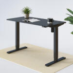 FlexiSpot EF1 elektromos íróasztal, fekete - állítható magasság (70-120 cm), Memóriás vezérlőpanellel (EF1-BB)