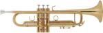 Bacio Instruments BTR-200GR