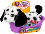 Moose Интерактивна плюшена играчка Moose Little Live Pets - Really Real Puppy, далматинецът Пепър (26651) - ozone
