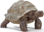 Schleich Figurina Schleich Wild Life - Testoasa gigantica (14824-03366) Figurina