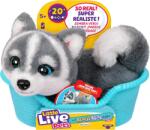 Moose Jucărie de pluș interactivă Moose Little Live Pets - Really Real Puppy, Aurora husky-ul (26648)