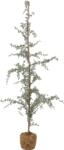 Bloomingville Brad artificial Vita, 150 cm (82052640)