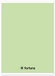 Fortuna Füzet vonalas FORTUNA Monocolor A/5 32 lapos 21-32 pasztell zöld (01.02088) - tonerpiac