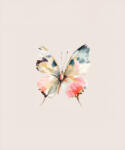 Takoy Szabadidő anyag Takoy PANEL akvarell pillangó Dain 50x60 cm