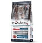 Proscience Adult Cat Salmon 15kg - falatozoo