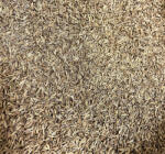 Paleolit Római köménymag egész 1kg Cumin whole - naturfoodshop