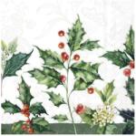 Ihr ALEXA papírszalvéta csomag 33x33cm, Krém (L1013260)