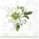 Ihr CLASSIC CHRISTMAS ROSE papírszalvéta csomag 33x33cm, Zöld (L1084520)