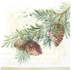 Ihr DECORATIVE BRANCHES papírszalvéta csomag 25x25cm (C828500)