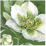 Ihr ELEGANT CHRISTMAS ROSE papírszalvéta csomag 25x25cm, Zöld (C1095420)