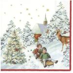 Ihr V&B Annual Christmas Snow papírszalvéta csomag 25x25cm (C886300)