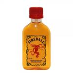Fireball Cinnamon mini whiskylikőr (0, 05L / 33%) - drinkmix