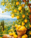 Alkotásutca Citromfa - Számfestő készlet kereten 40x50