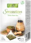 VEDDA Ceai Yerba Mate, 20 plicuri, Evolet