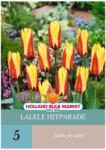 Holland Bulb Market Bulbi de lalele Hitparade, 5 bulbi (HCTG00320)