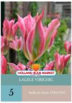 Holland Bulb Market Bulbi de lalele VirIchic, 5 bulbi (HCTG01932)