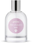 Record kutyaparfüm RÓZSAILLAT 100 ml - pupparadise