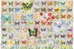 Cobble Hill 49011 - Butterflies and Blossoms - 2000 db-os puzzle (49011)